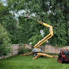 Best Tree Disease Treatment  in Courtland, VA